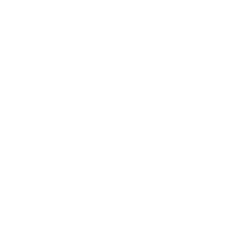 GM Special Vehicles logo