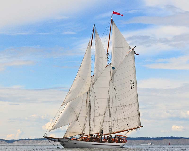 https://woodenboat.org/boat/adventuress/ logo