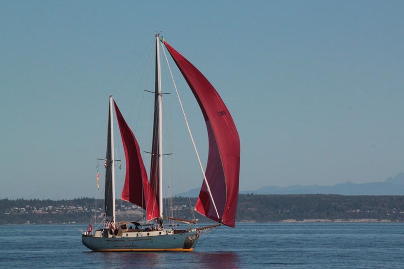 https://woodenboat.org/boat/ariel-of-victoria/ logo