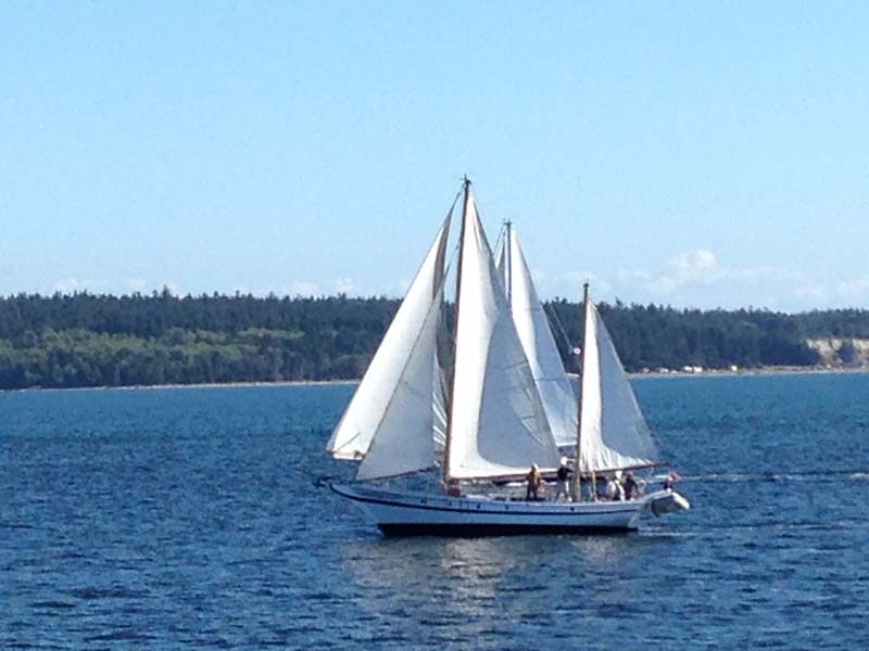 https://woodenboat.org/boat/blackbeard-ii/ logo