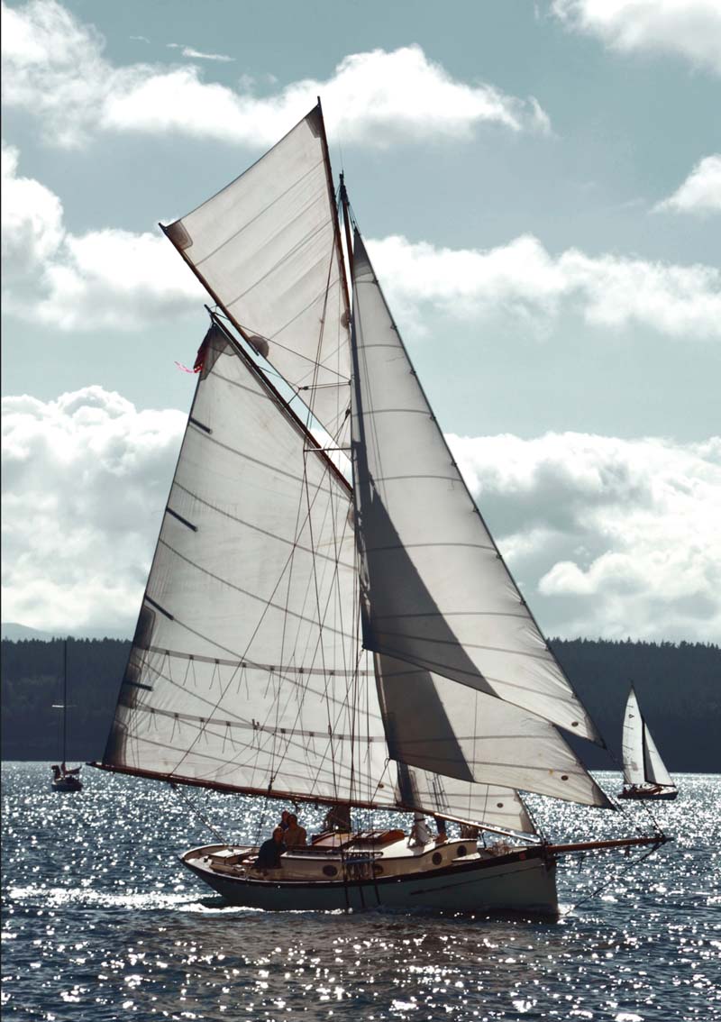 https://woodenboat.org/boat/bryony/ logo