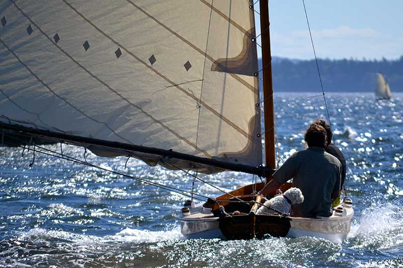 https://woodenboat.org/boat/chesuki/ logo