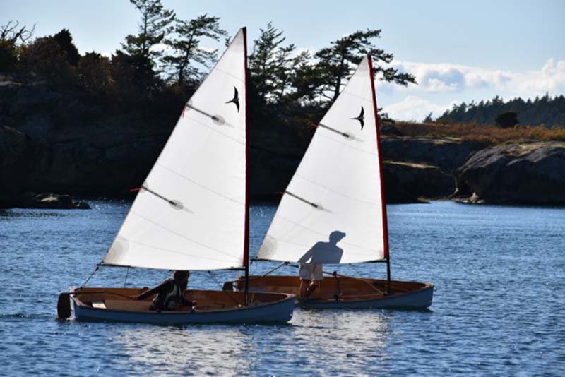 https://woodenboat.org/boat/cognito/ logo
